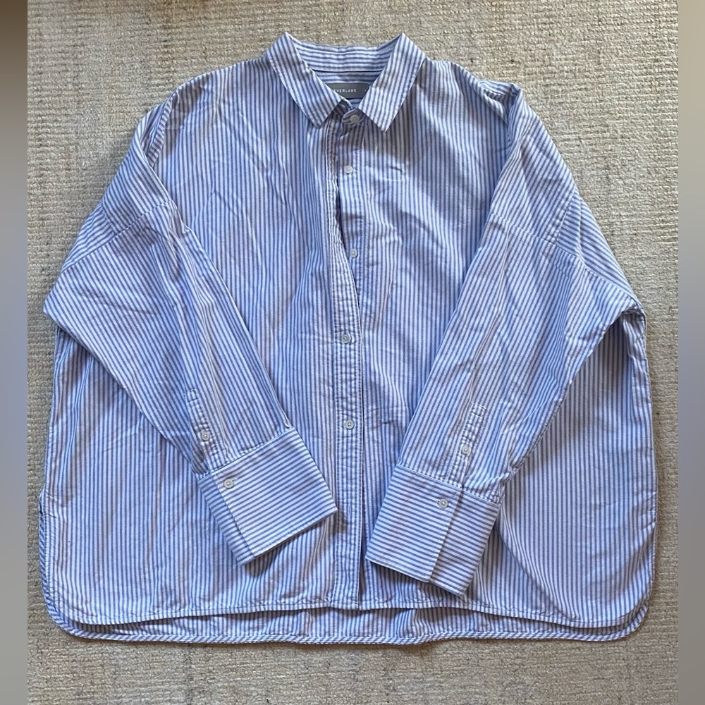 Everlane Striped Oxford